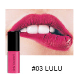 12 color durable waterproof non stick cup lip color Matte Lip Glaze lipstick sample
